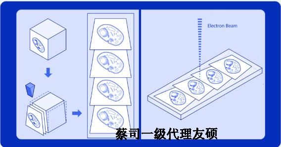 商洛蔡司商洛扫描电镜